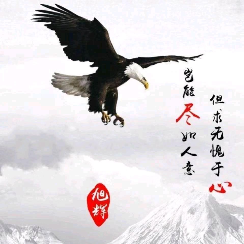 那年初夏tc
