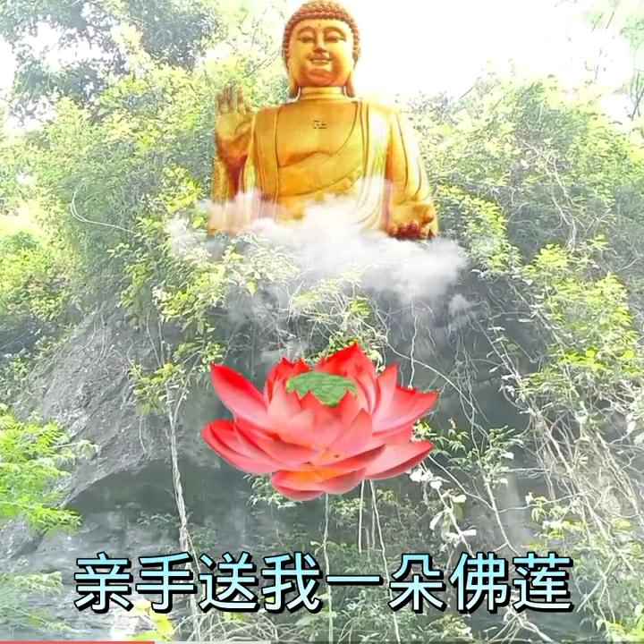 佛花   ：《欢迎朋友们支持善缘霜子》