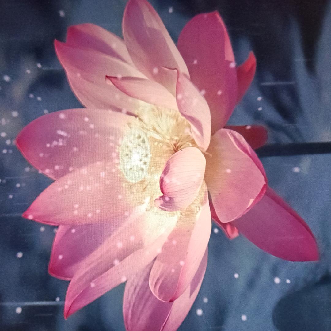 西街小明