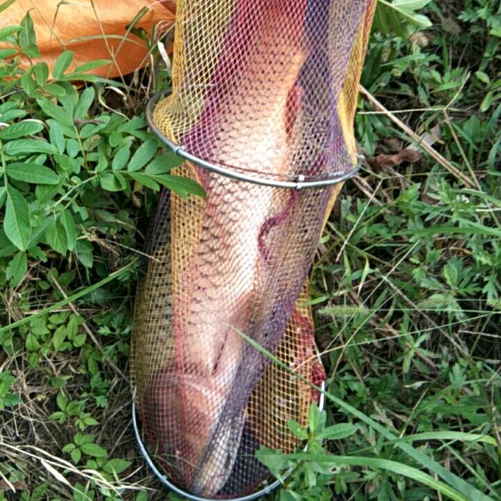 死神亲吻过的人