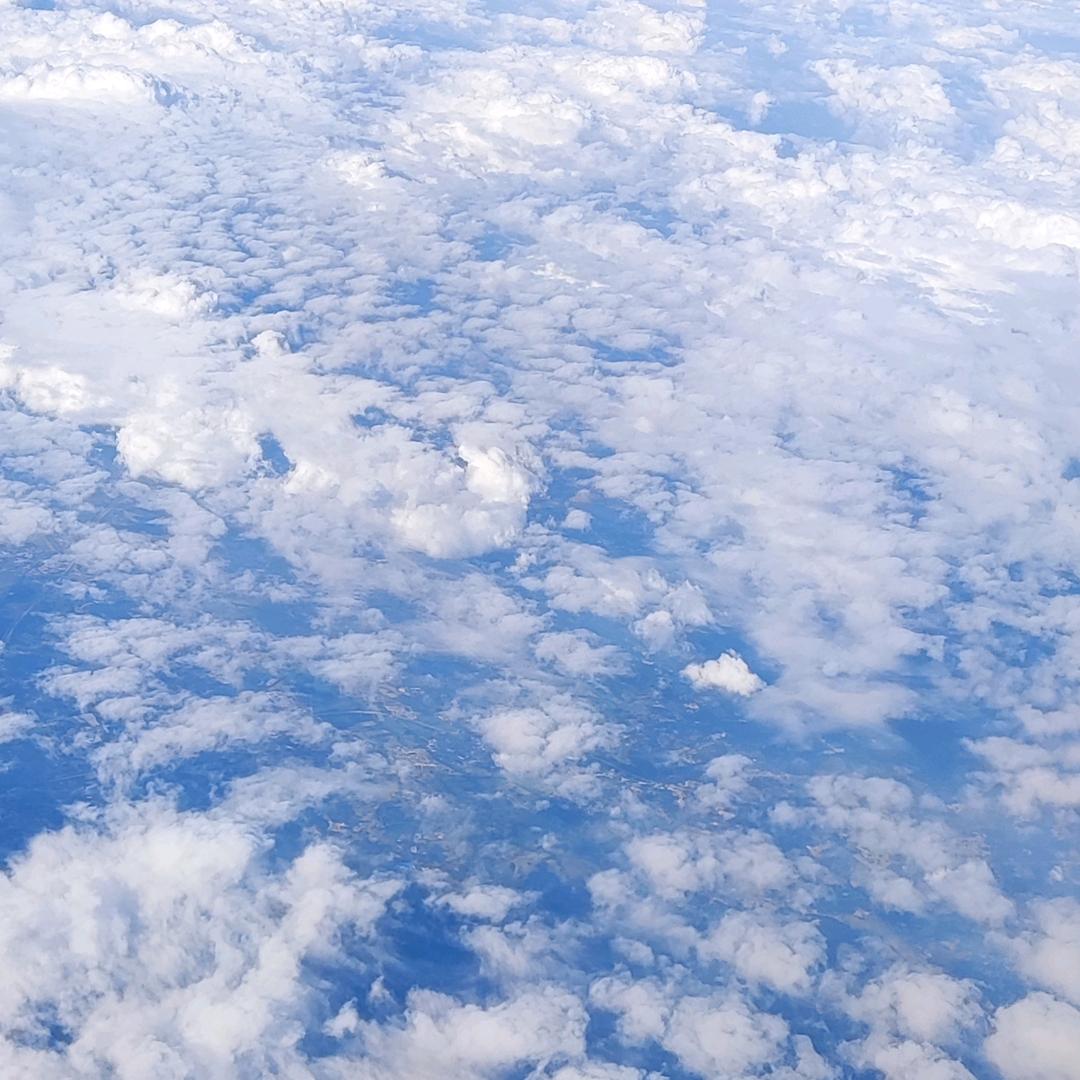 小陌陌