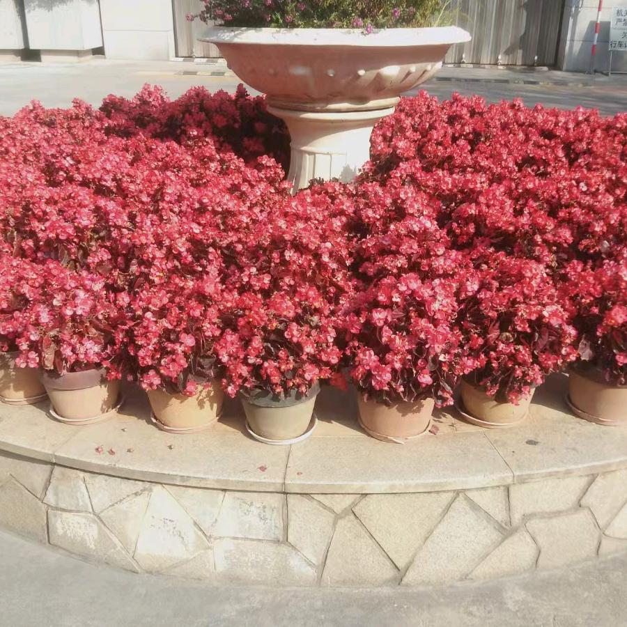 外表开心内心眼泪流成河有缘相逢错过苦命人