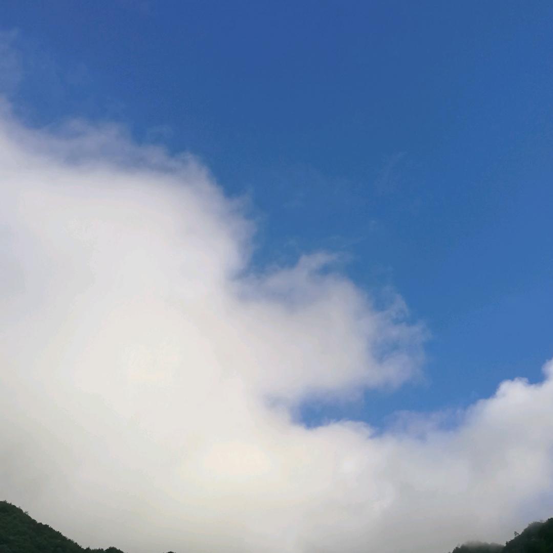 自然规律
