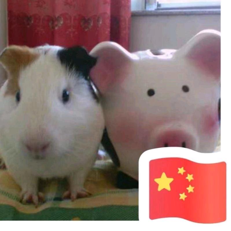不着调