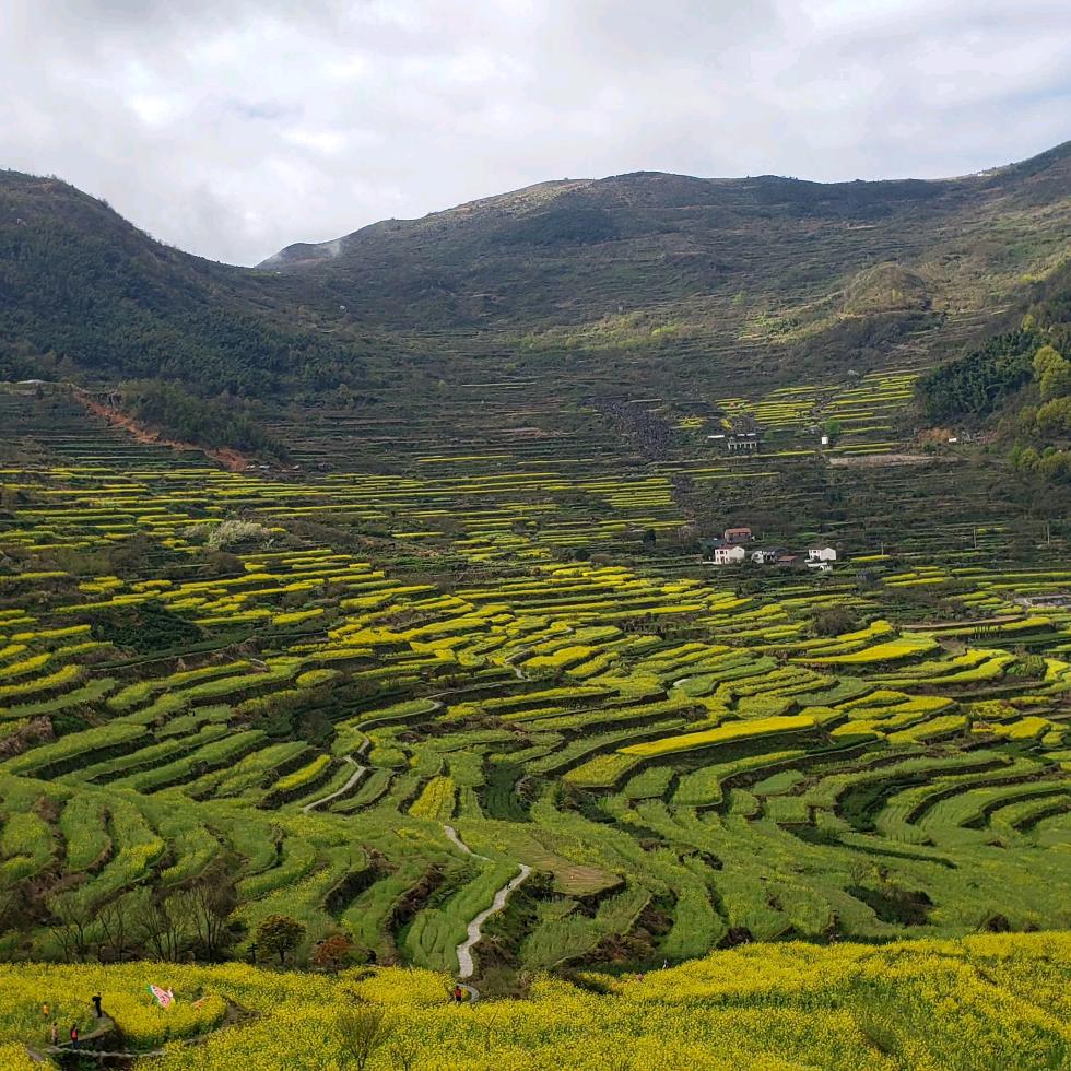 努力奋斗吧，加油