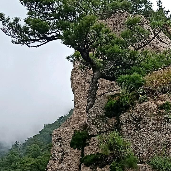 FAN付军