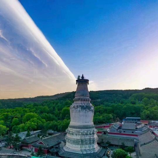 五台山小燕子