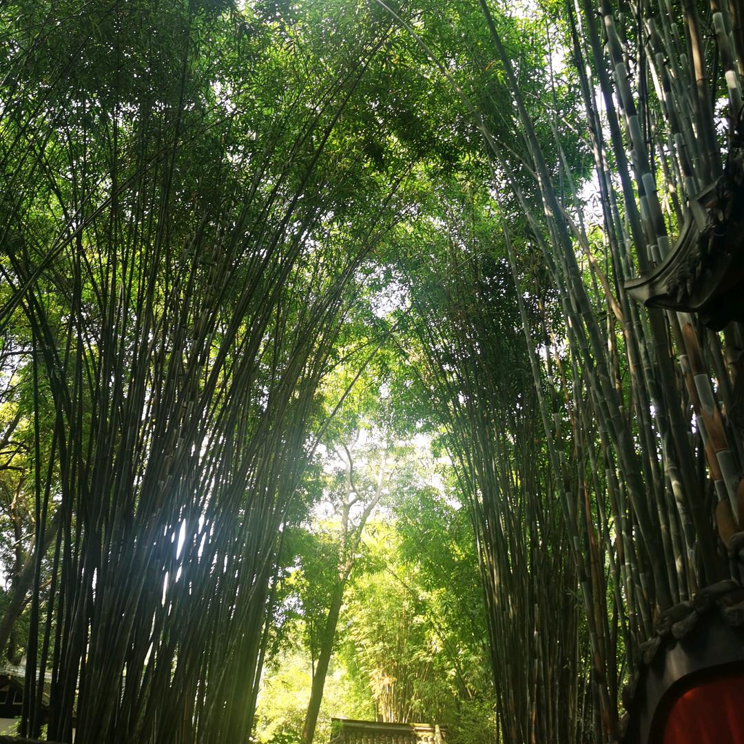奔跑吧，少年(｡･㉨･｡)ﾉ