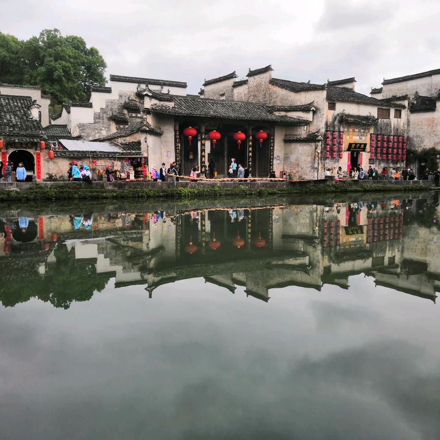 刺玫瑰