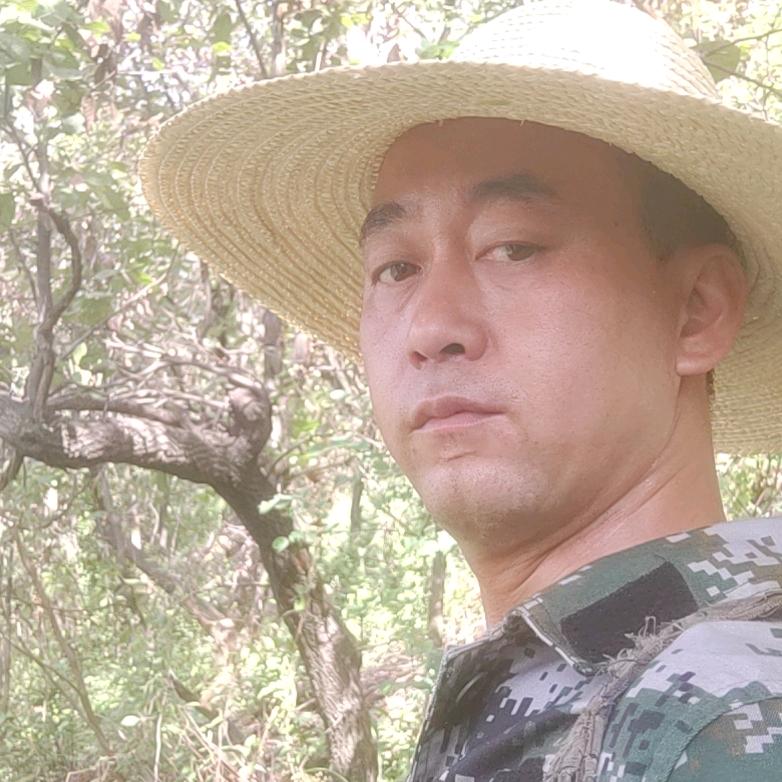 卧虎藏龙