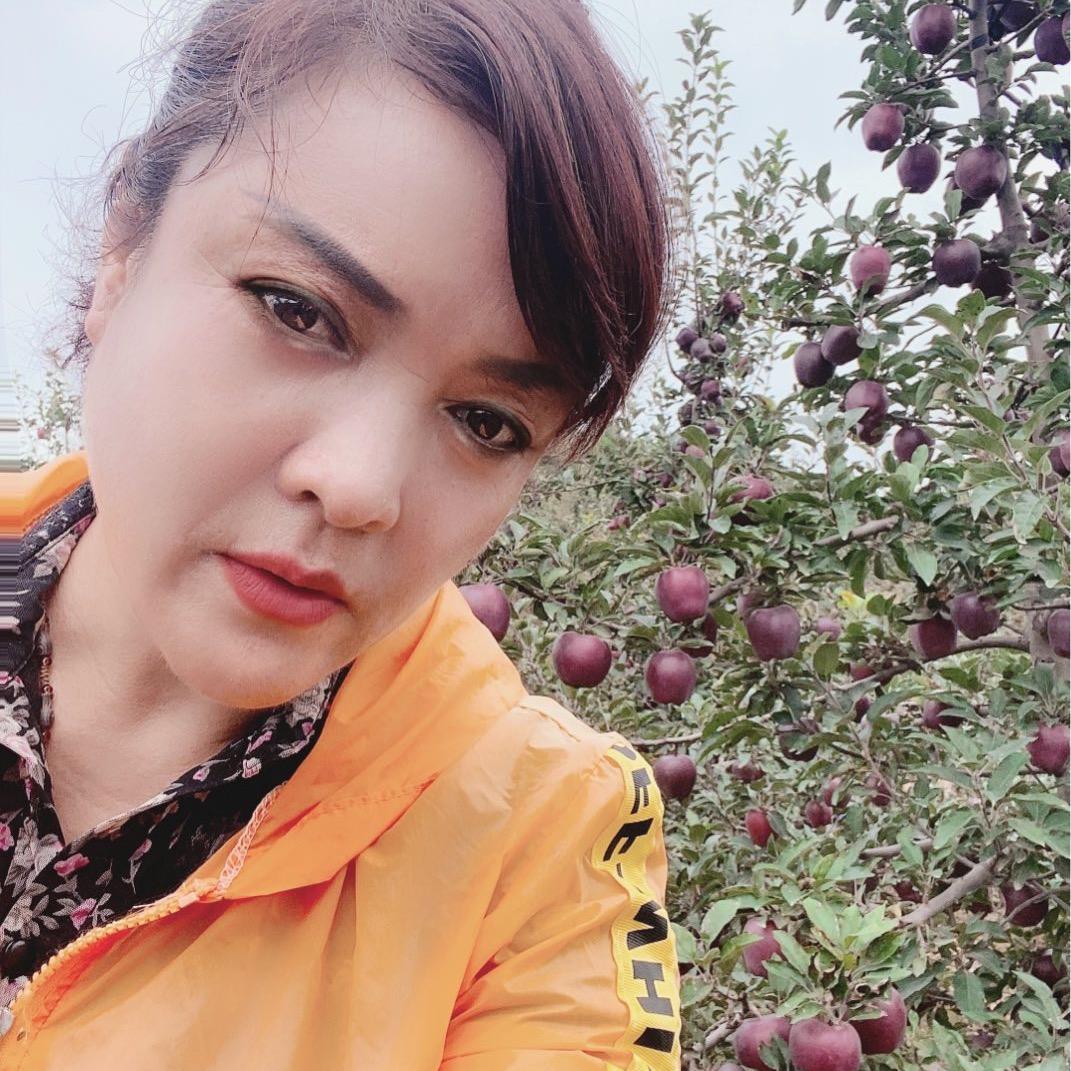麦积宠儿农副产品