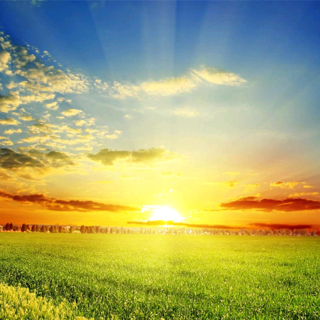 🐶☀️一帆风顺红哥²₁⁸💙🎤🐶