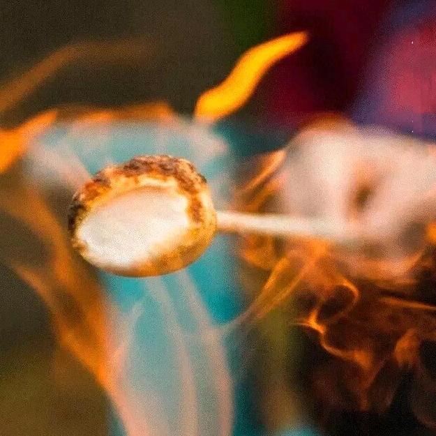 风-