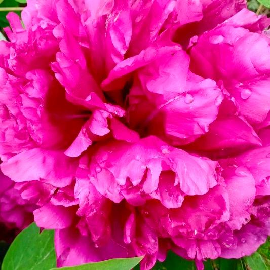 爱的世界只有你