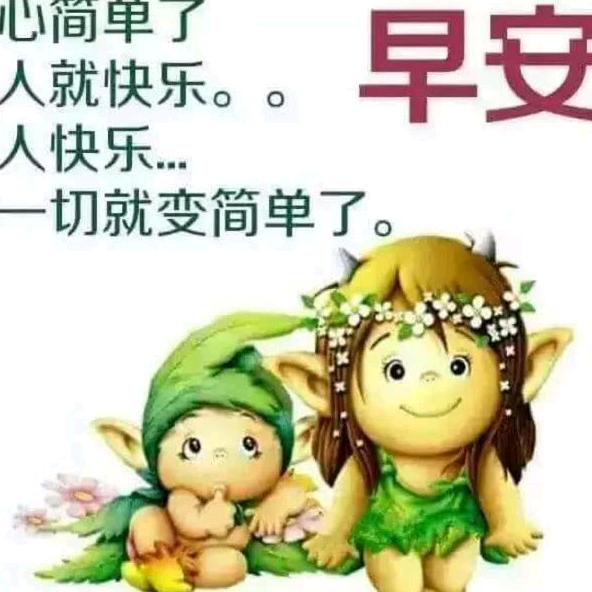 四叶草🍀🍀🍀