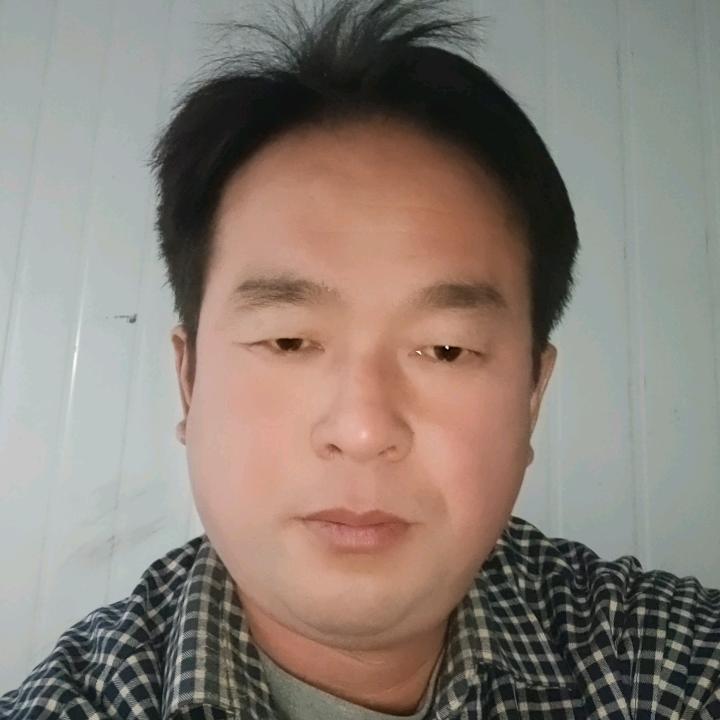 金朝辉