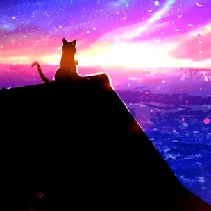 孤独的夜猫