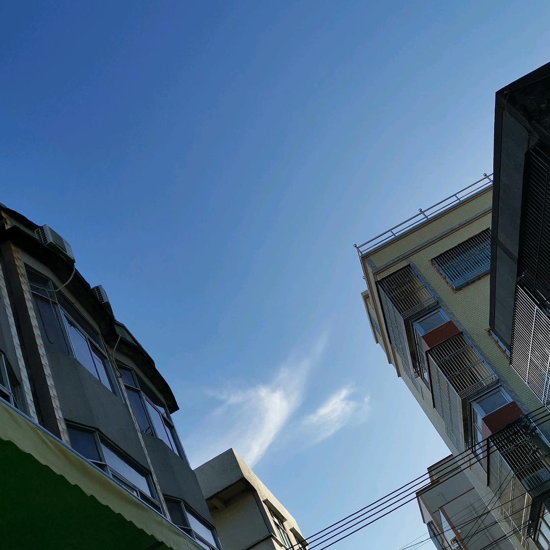 鱼泡泡