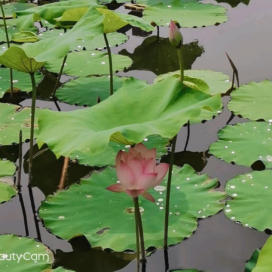 好地方