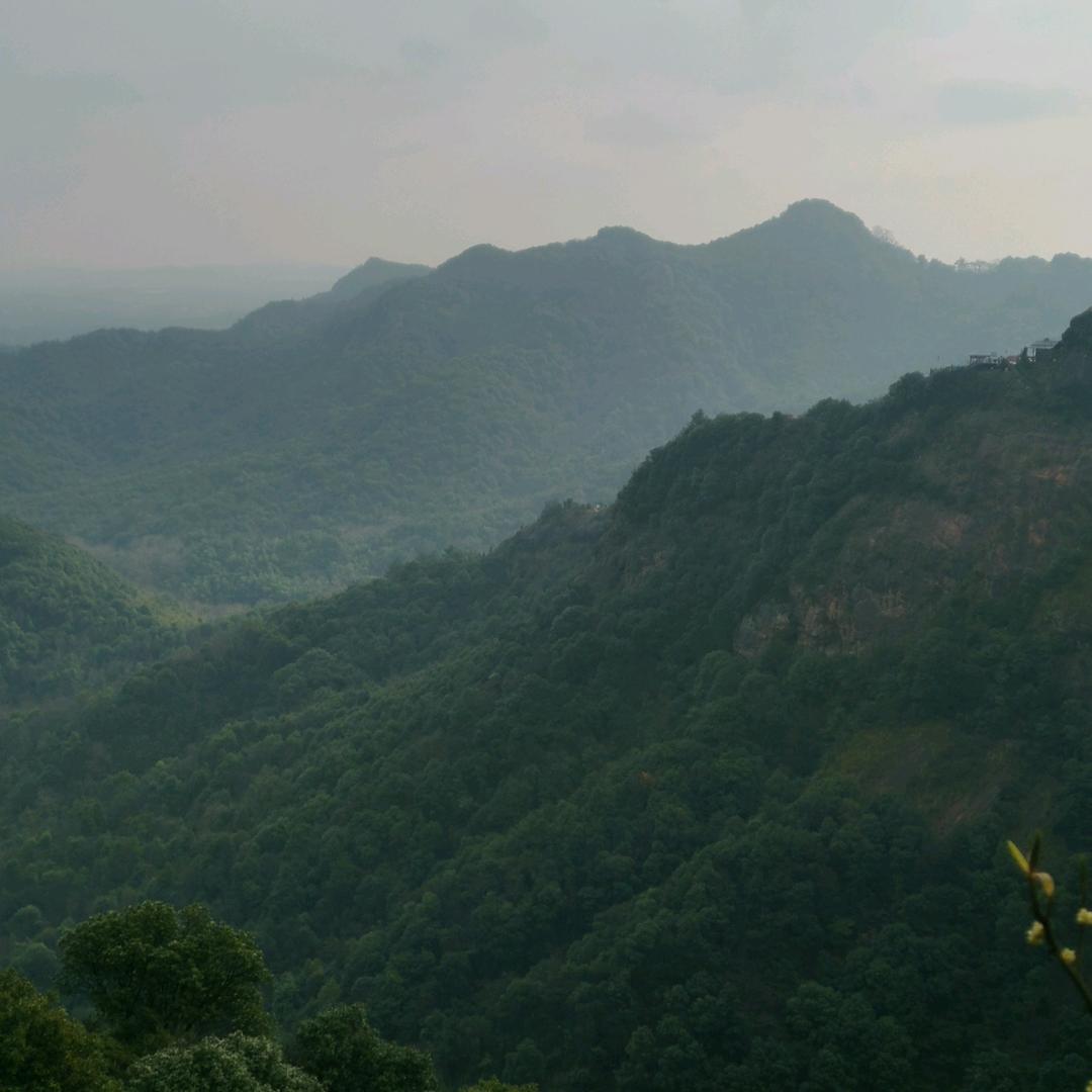 美奇饰义乌市奇俊电子商务有限公司饰品专卖店