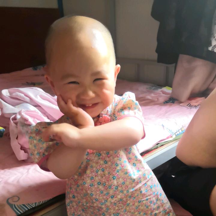 向羽桐