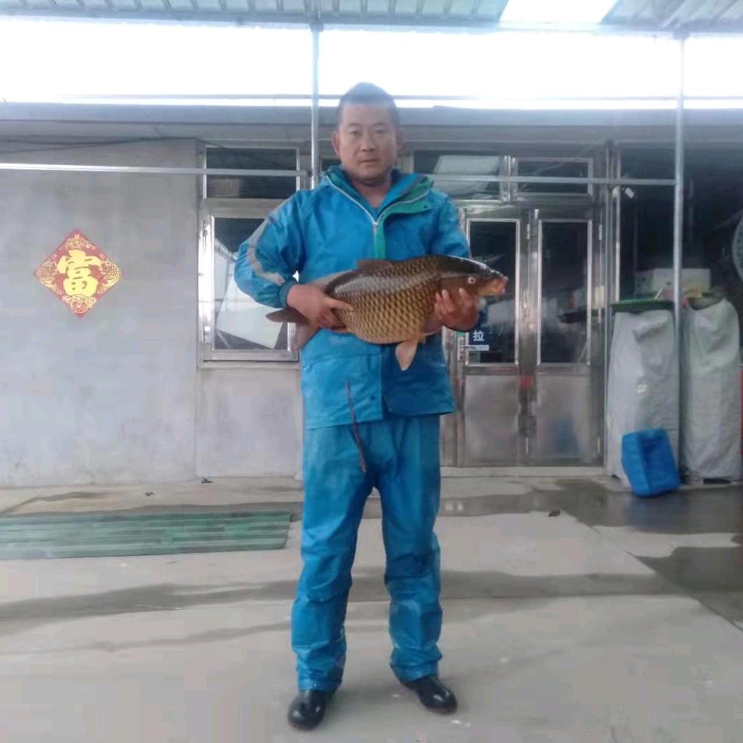 小高