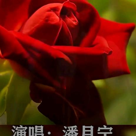 用户6334123459532