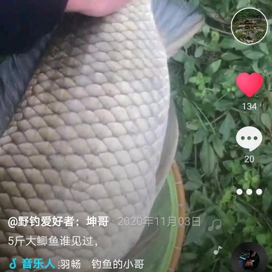 野钓爱好者：坤哥