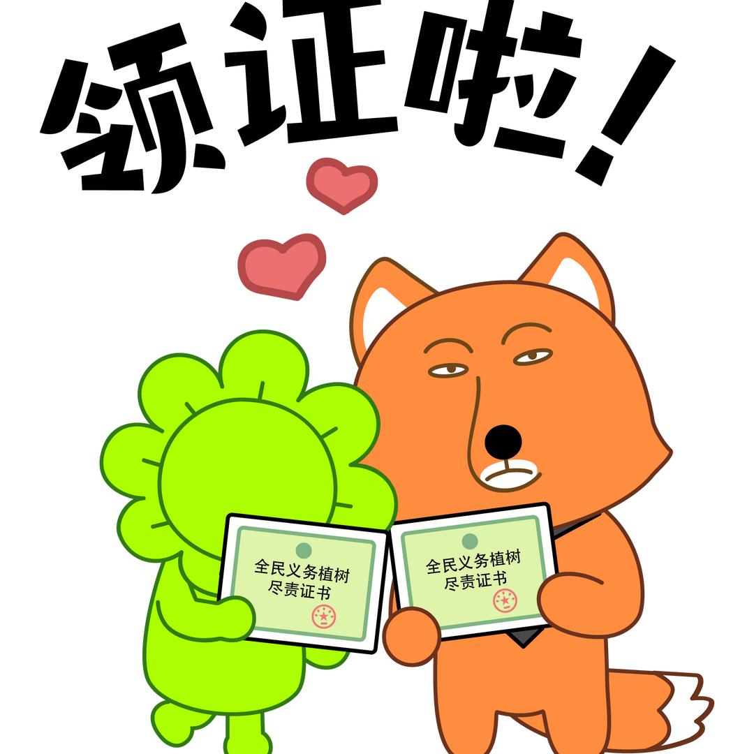 杨肉串串
