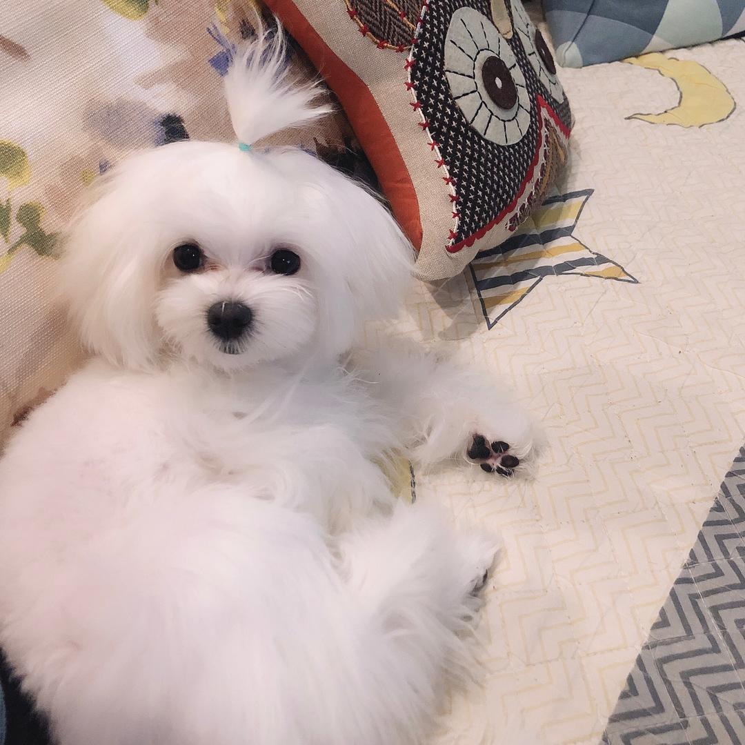 静生活销售馆