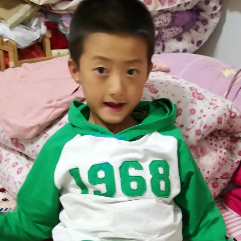 太阳花