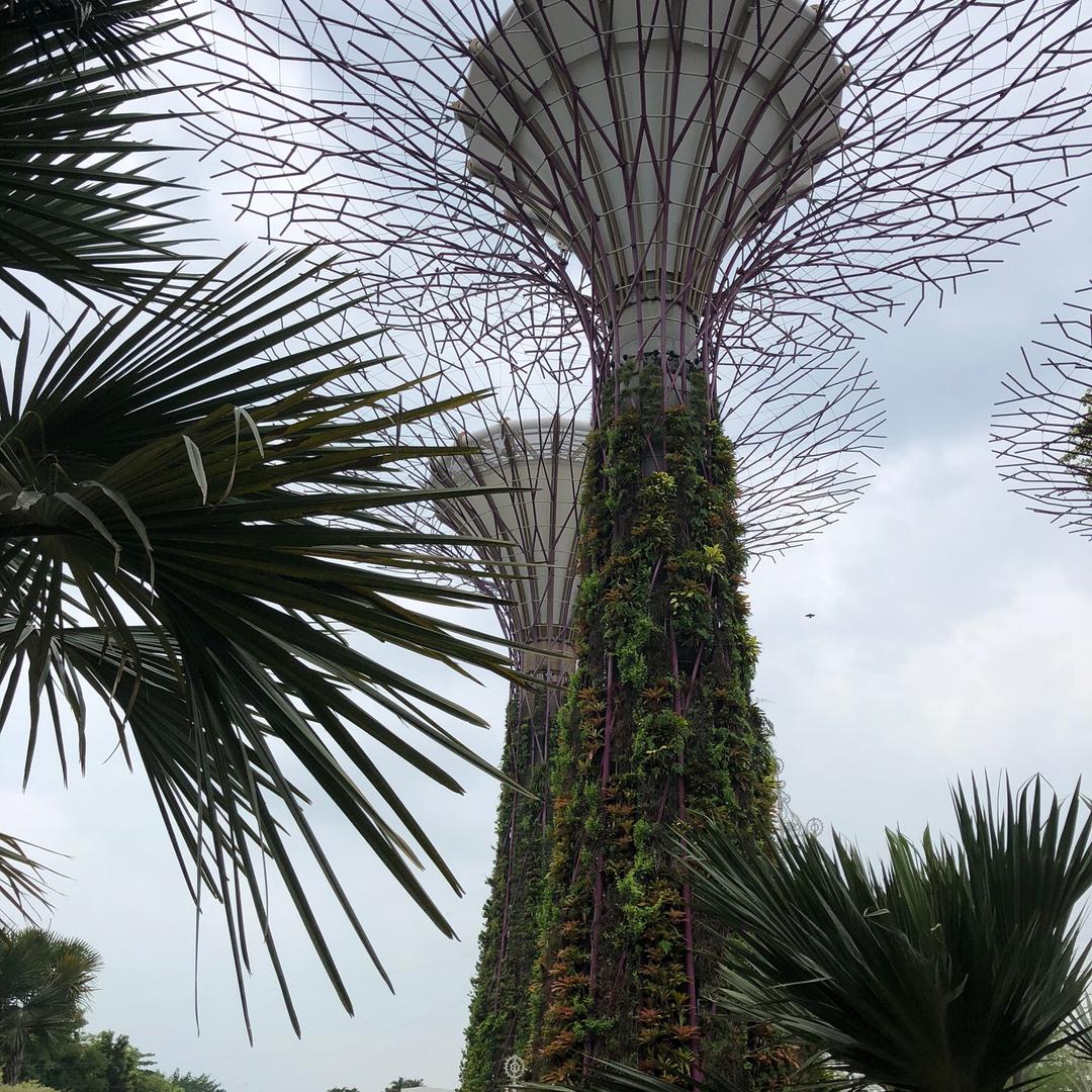 风和日丽（回赞不回关）