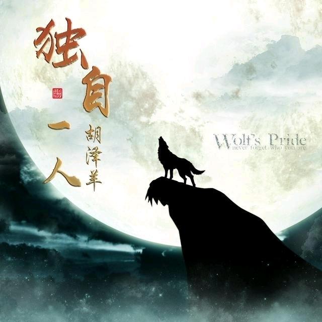 🐑灰太狼🐺