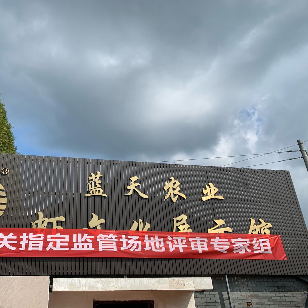 蓝天农业