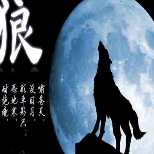 沙漠之狼