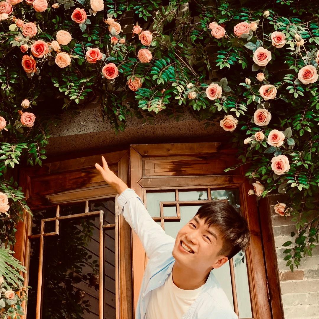 剪纸畅杨杨