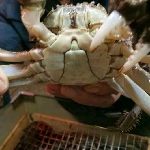 小六子