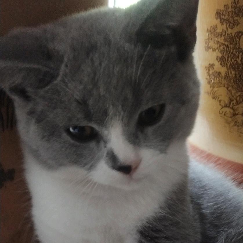 我成功