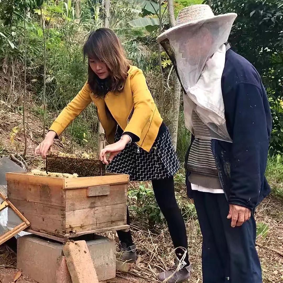 蜜蜂养殖蜂农小妹蜜糖