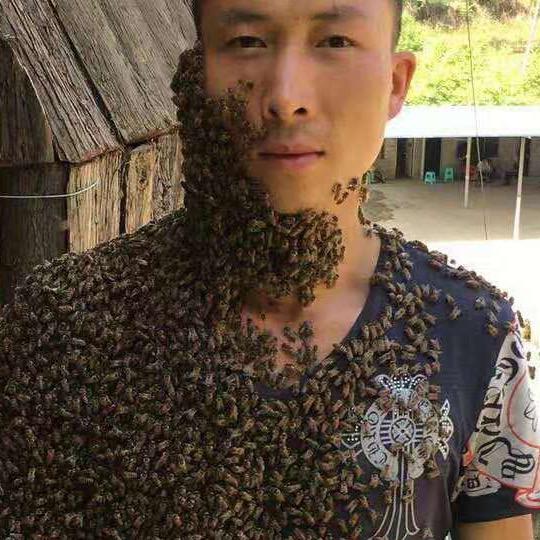 蜂农