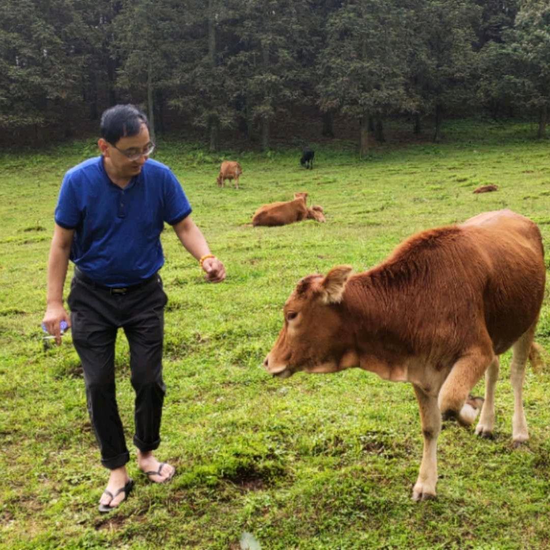 子龙，头像