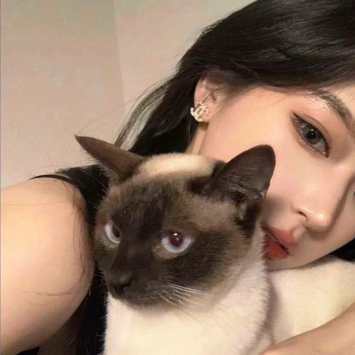 ...迷