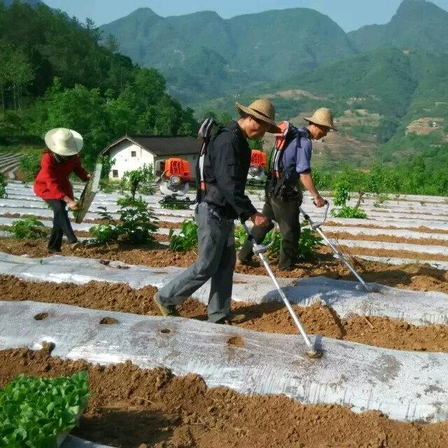小苗移栽打孔器