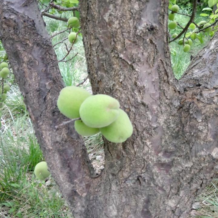 知足长乐