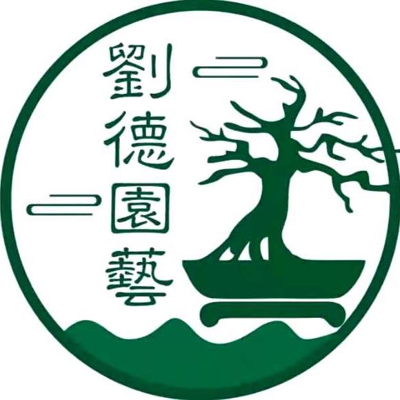 刘德园艺小号