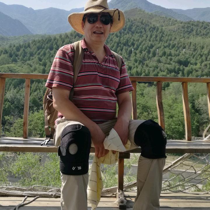 树林头像