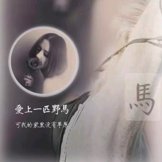 鴥彼晨风头像