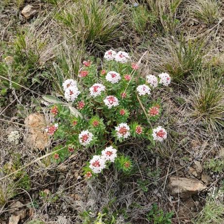 青青子衿，悠悠我心！