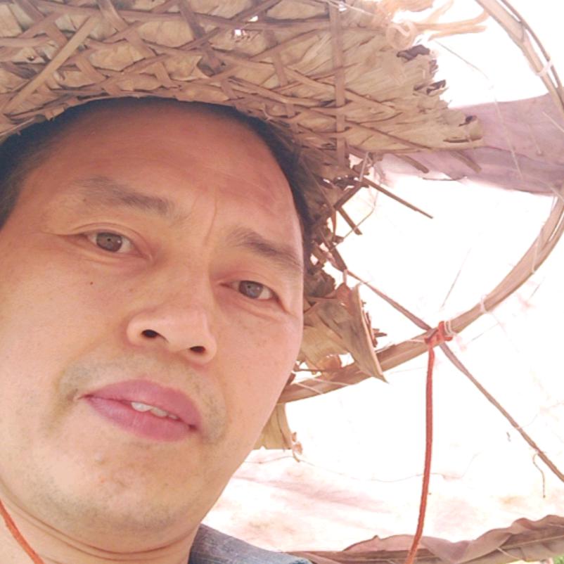 挂满幸运星的梦；＠军哥