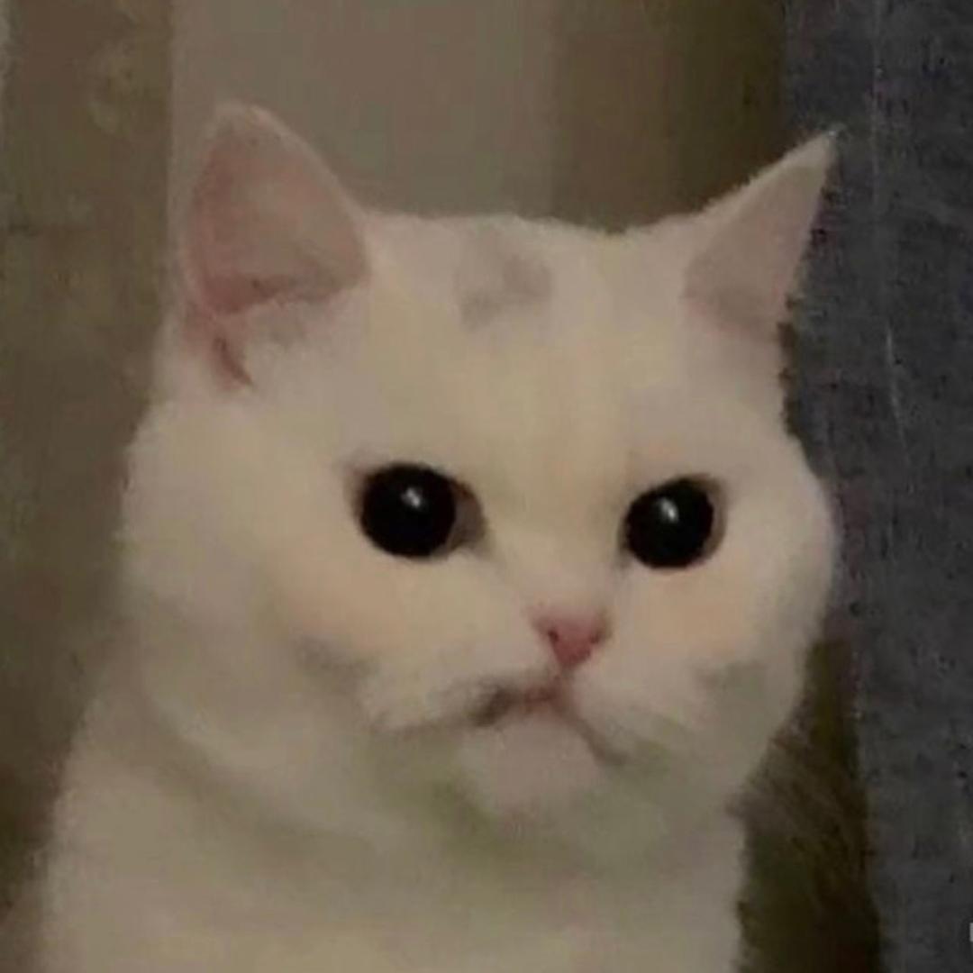 🐟呀